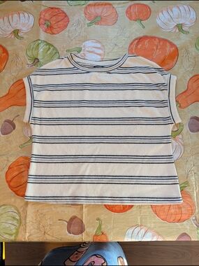 George Cream and Navy Short Sleeve Striped Tee
